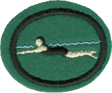 Natación I